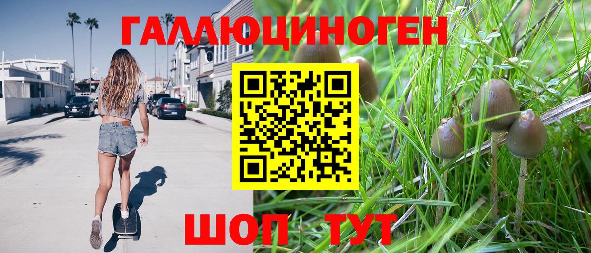 Кудымкар  где продают   Вход с VPN  Псилоцибиновые грибы MAGIC MUSHROOMS 