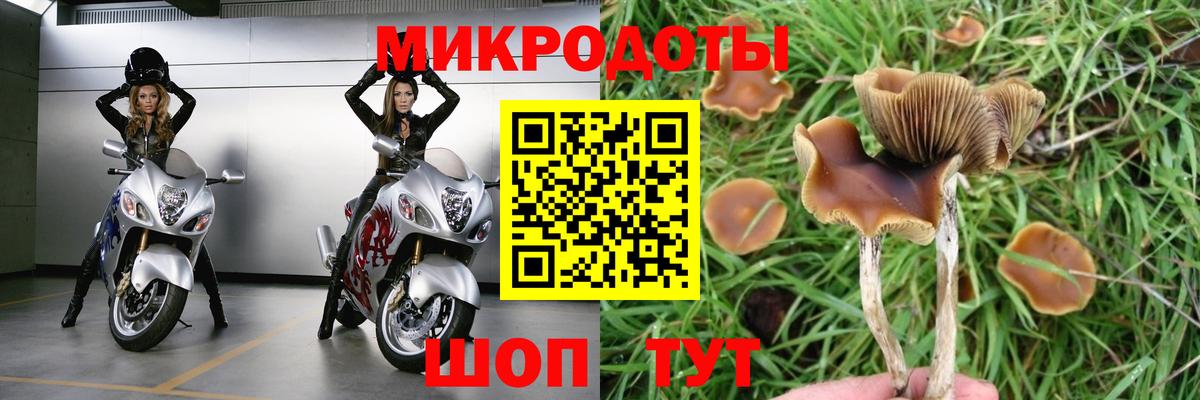 Псилоцибиновые грибы Magic Shrooms Кудымкар